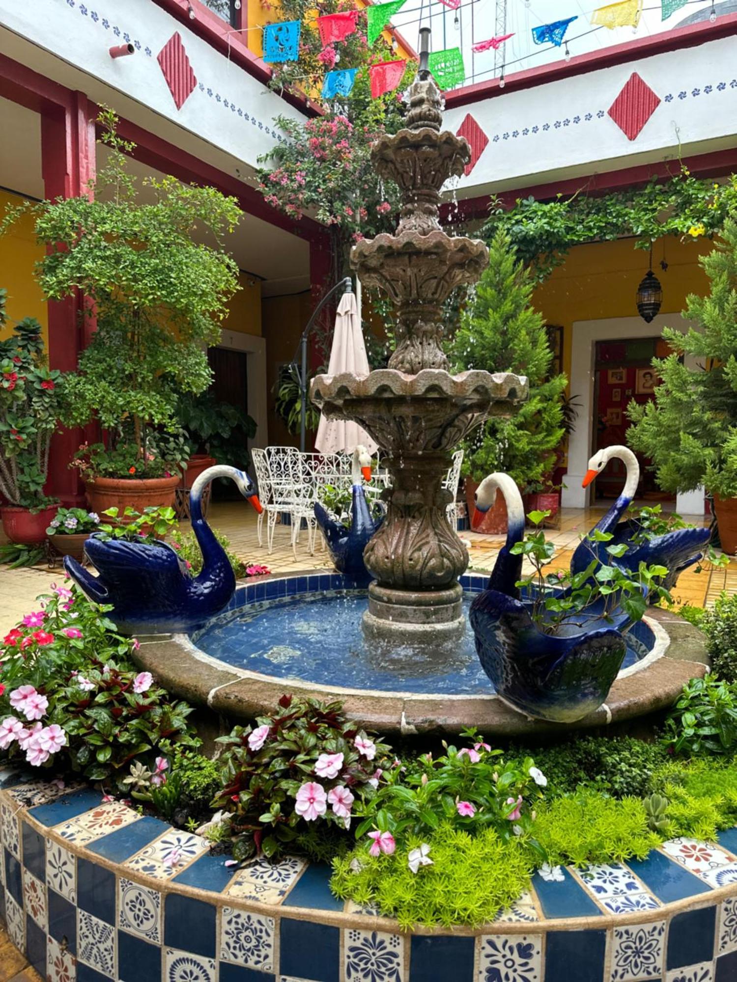 Copa De Oro Hotel Boutique Mascota Extérieur photo