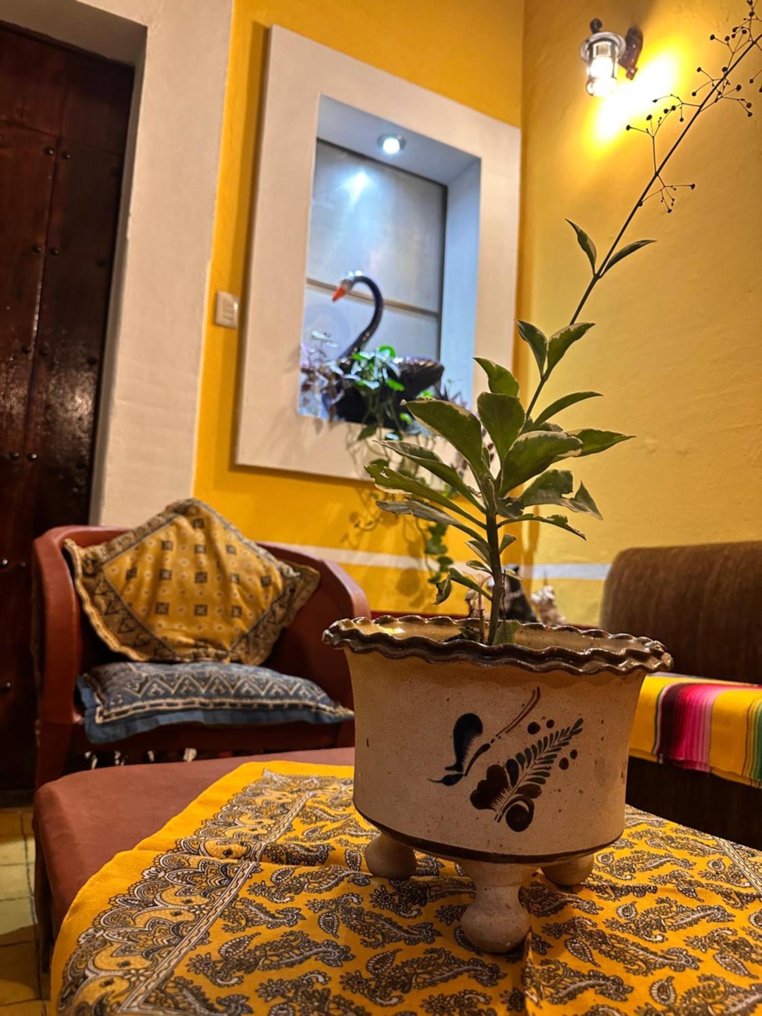 Copa De Oro Hotel Boutique Mascota Extérieur photo