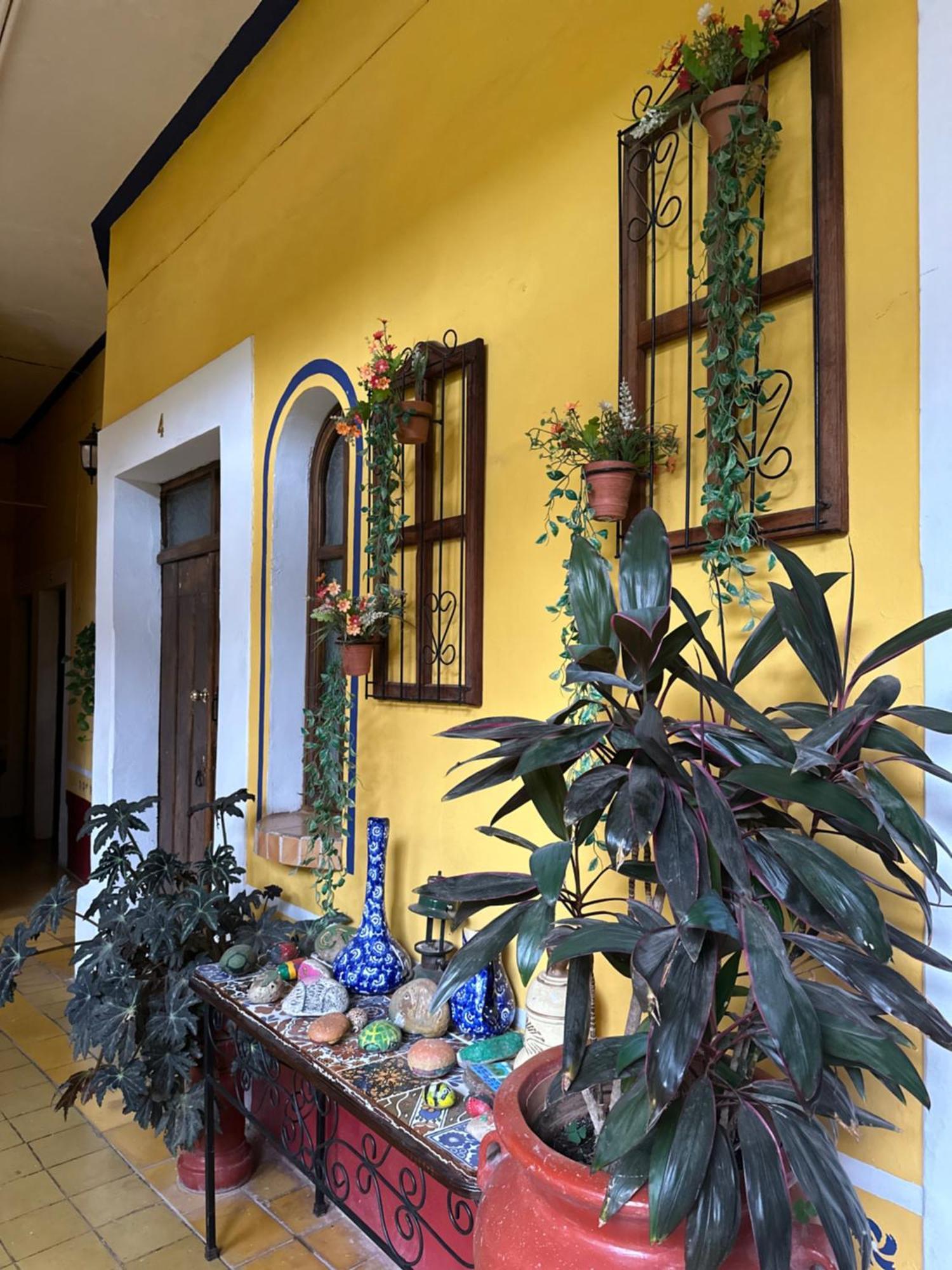 Copa De Oro Hotel Boutique Mascota Extérieur photo