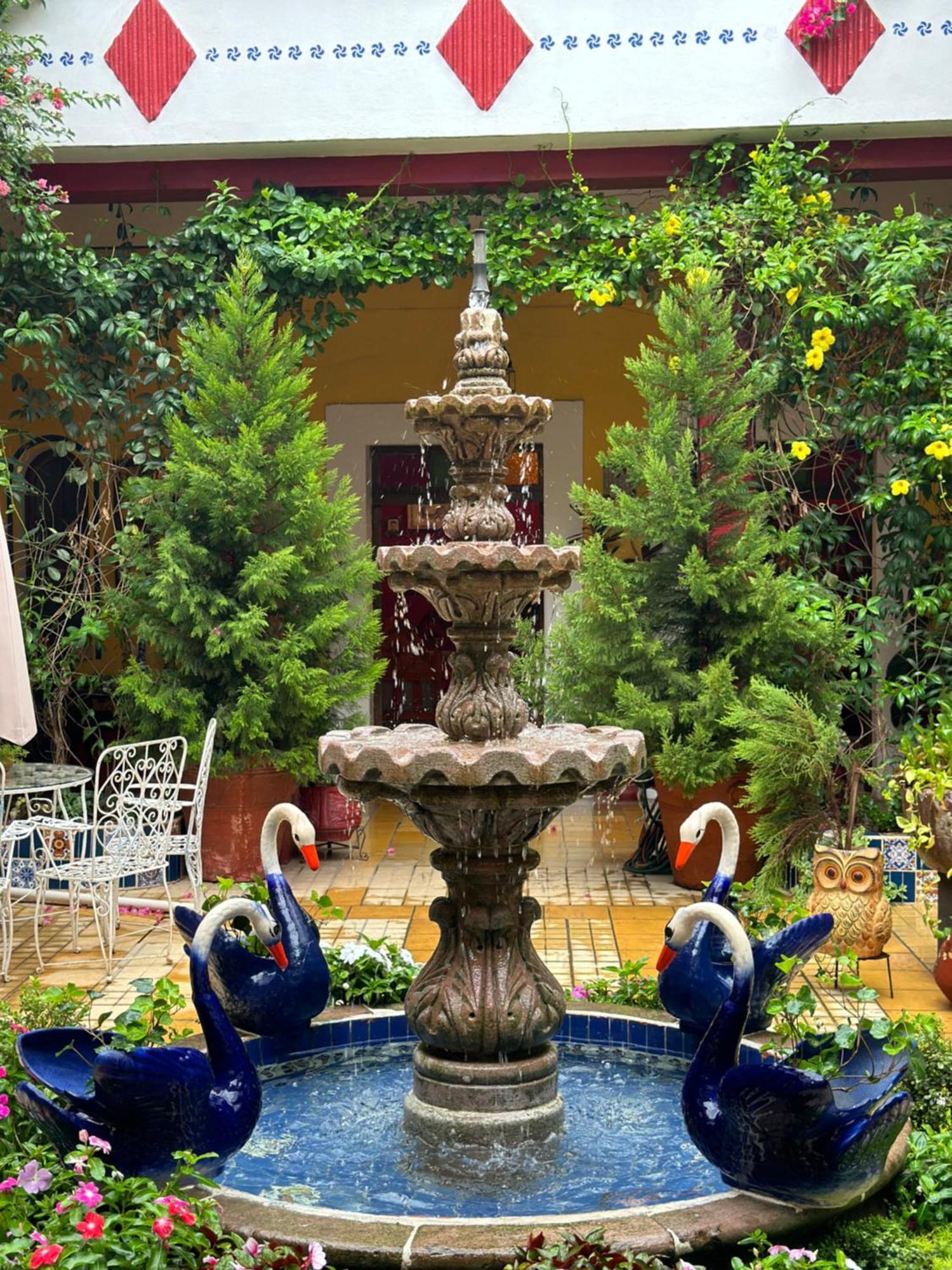 Copa De Oro Hotel Boutique Mascota Extérieur photo